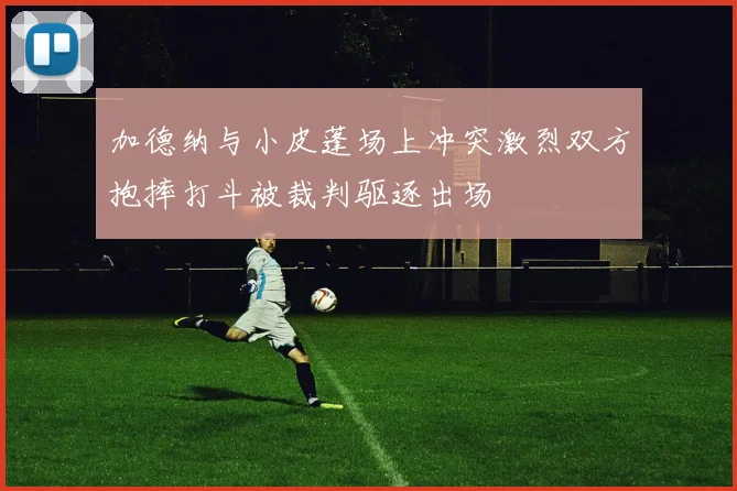 加德纳与小皮蓬场上冲突激烈双方抱摔打斗被裁判驱逐出场
