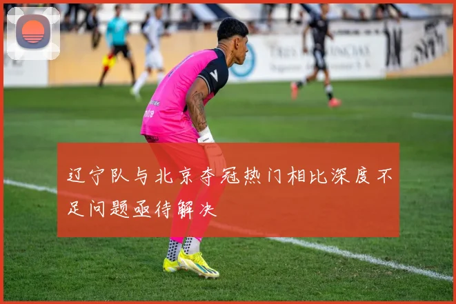 辽宁队与北京夺冠热门相比深度不足问题亟待解决